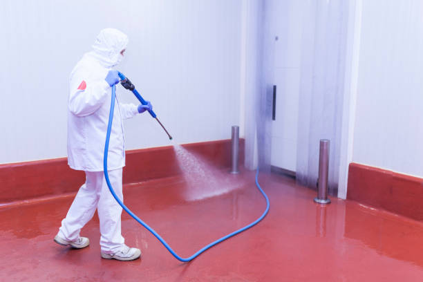Best House Exterior Washing  in Hazel Green, AL